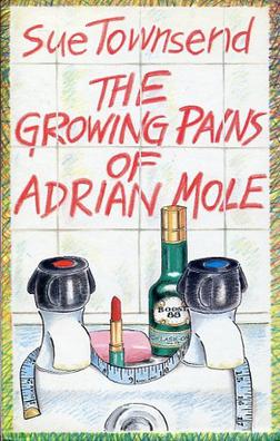 Sixteen Years Old - Adrian Mole